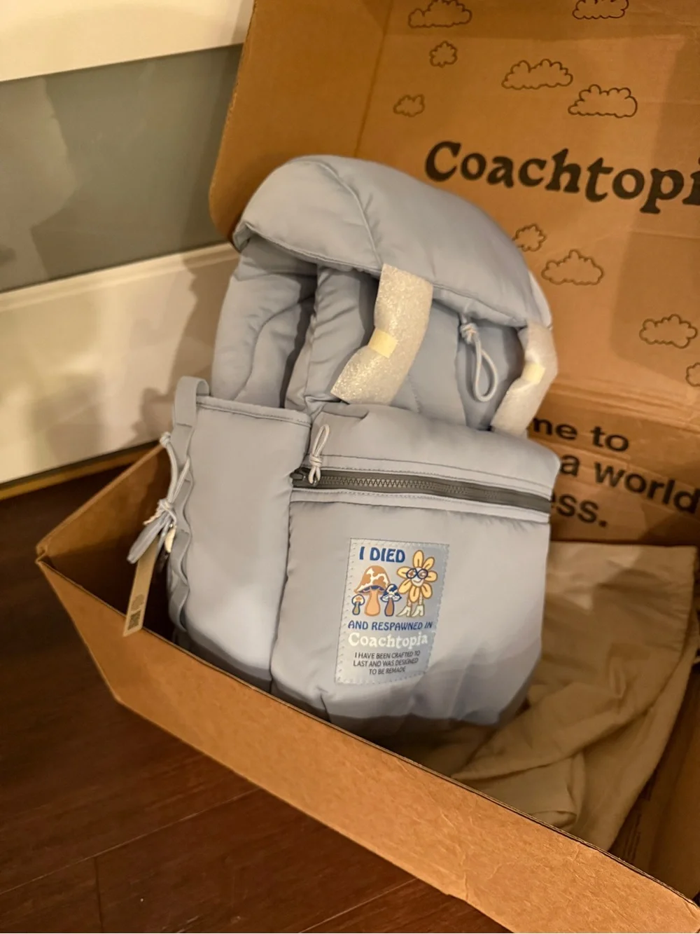 The Summer I Turned Pretty Limited-edition Coachtopia Backpack - Picture 2 of 7